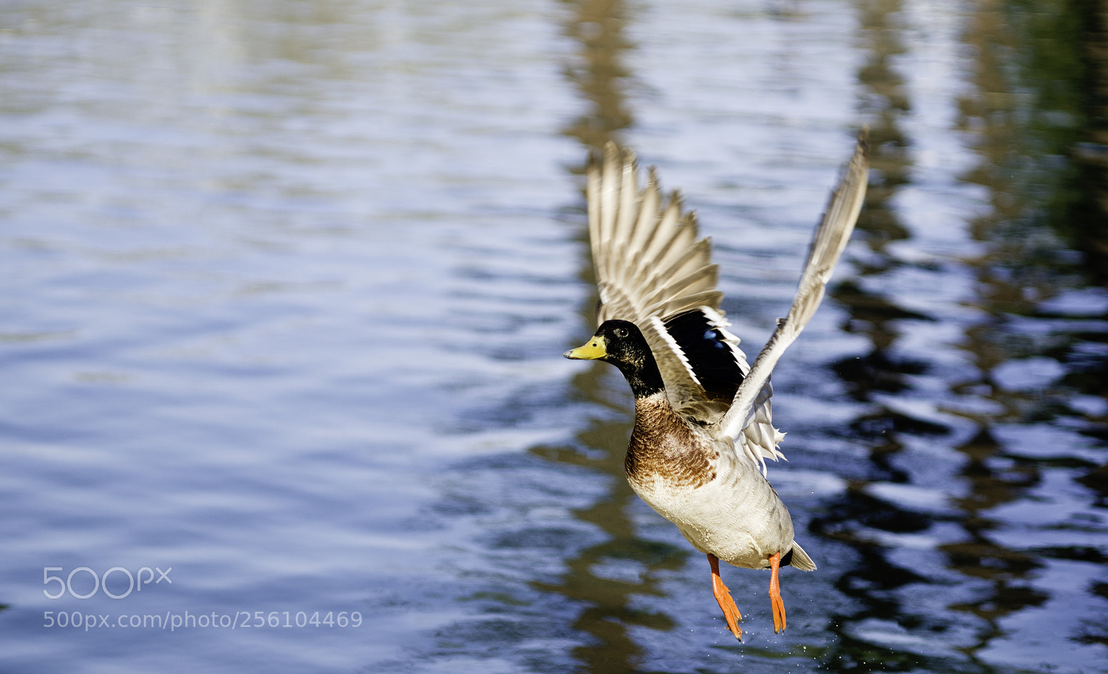 Nikon D7500 sample photo. Launch time photography