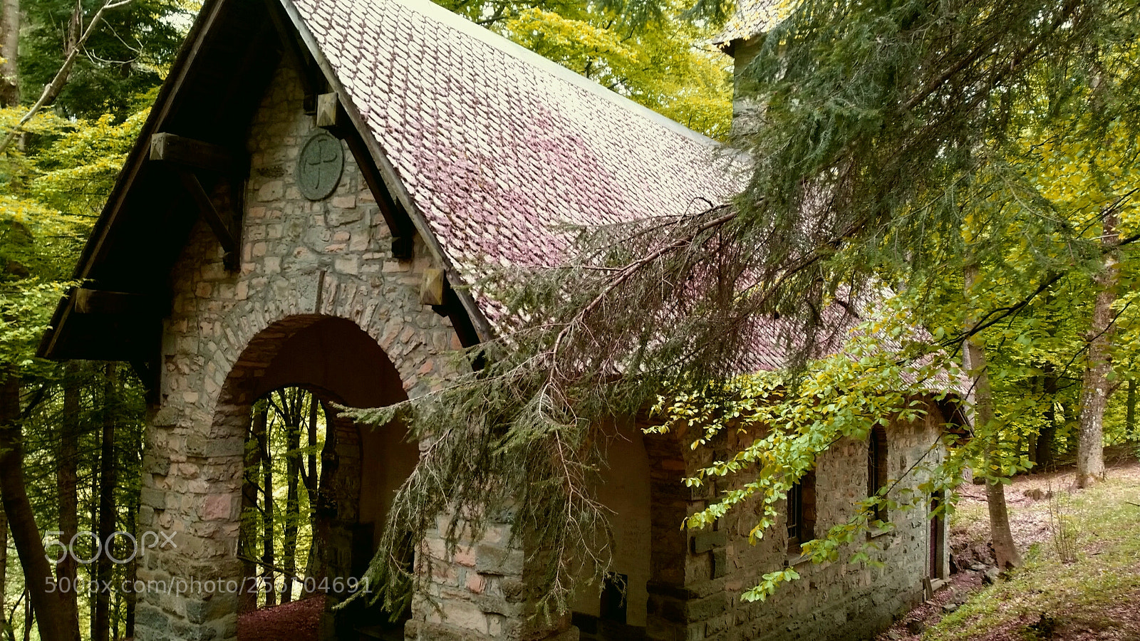 Samsung Galaxy S5 sample photo. Untitled photography