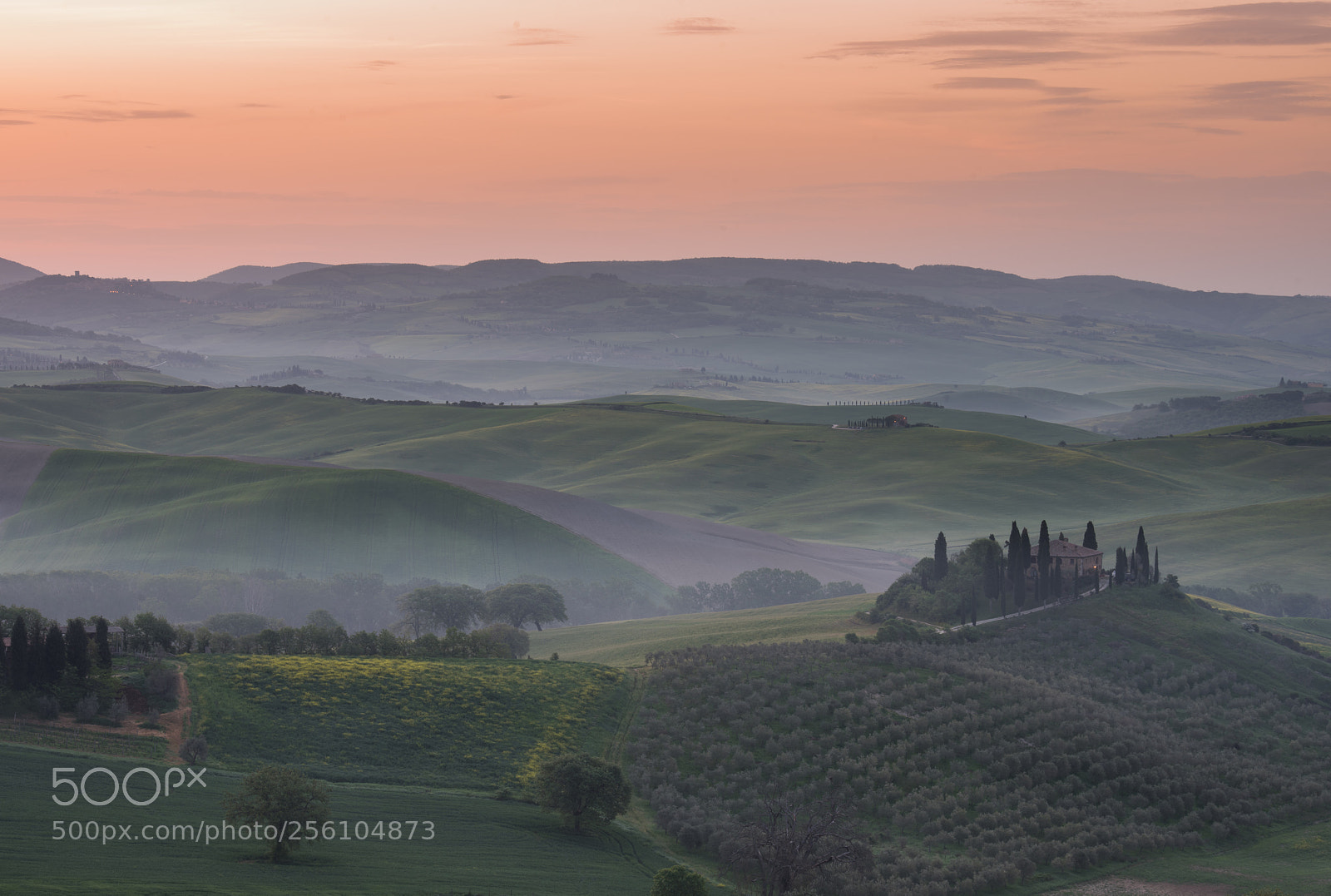 Nikon D810 sample photo. Morning spring photography