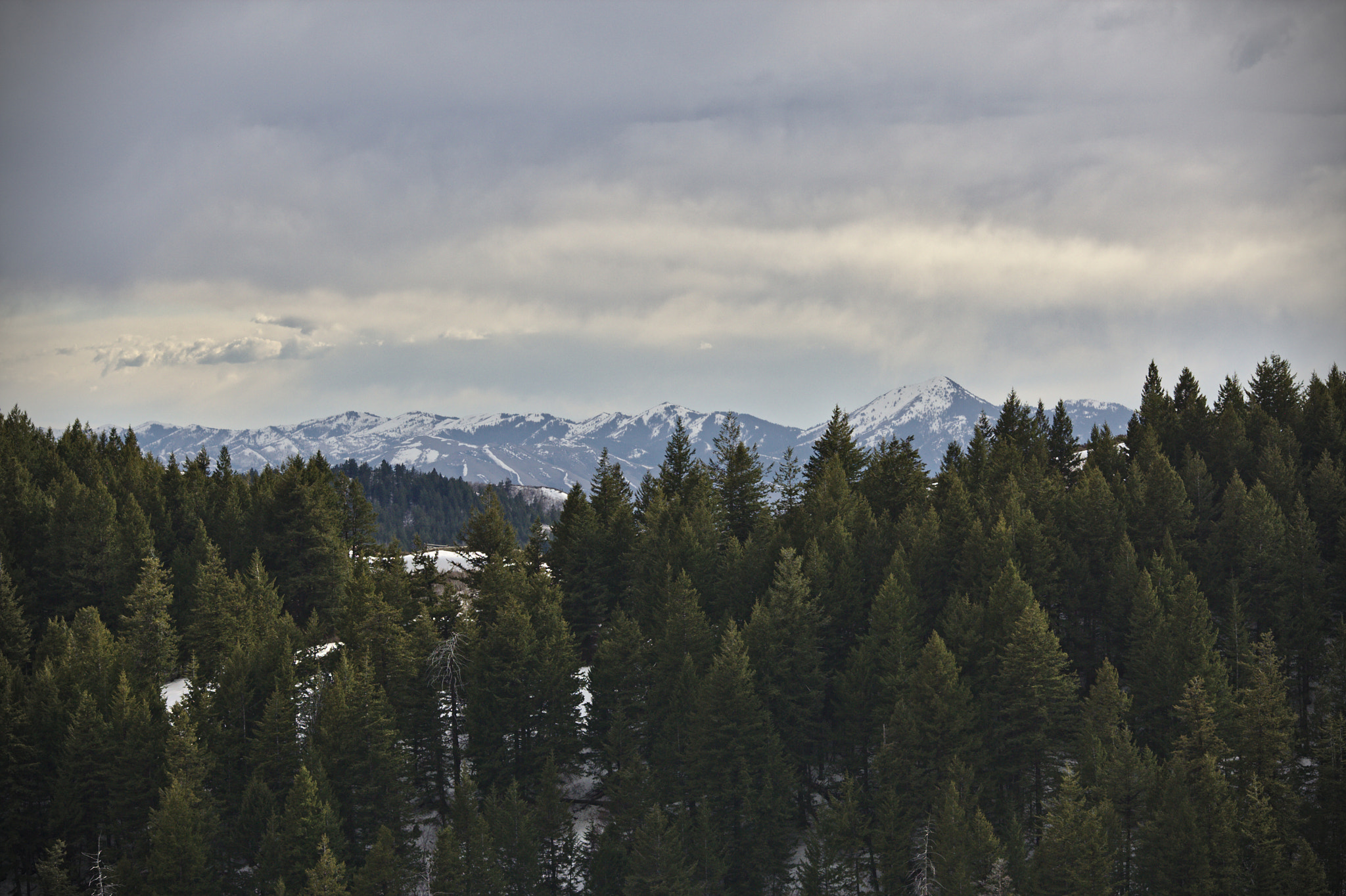 Canon EOS 1000D (EOS Digital Rebel XS / EOS Kiss F) sample photo. Atop peak 7081 photography
