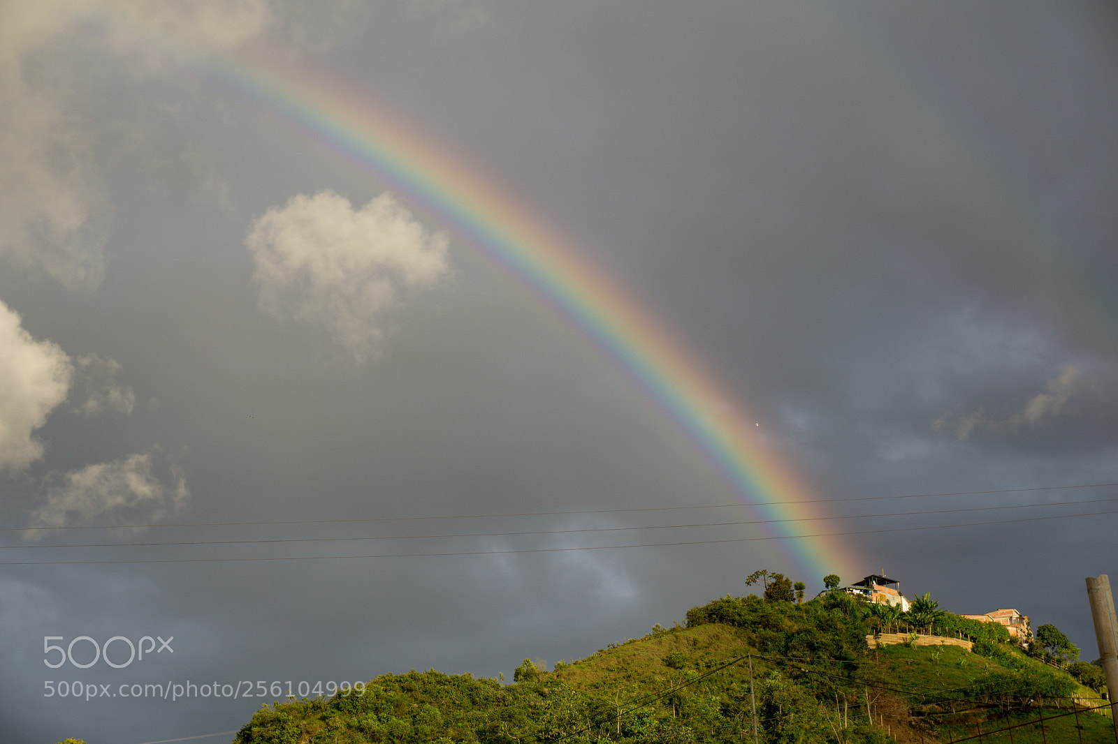 Sony a6000 sample photo. Dsc photography