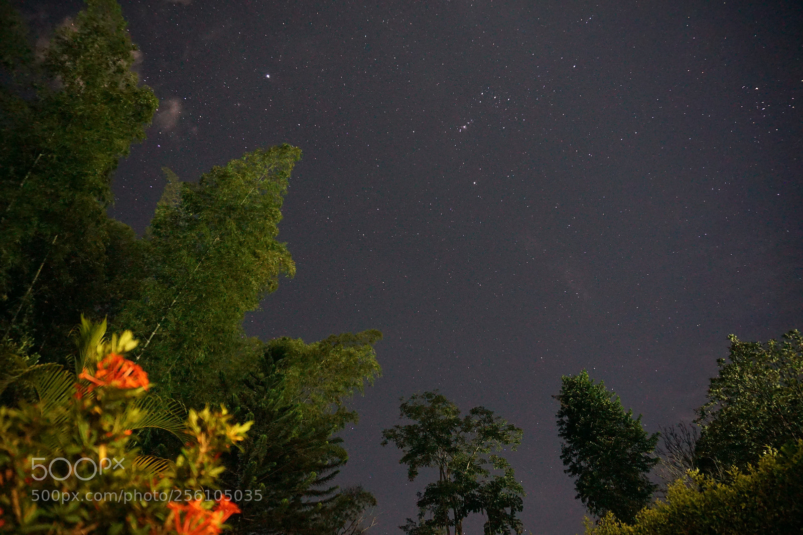 Sony a6000 sample photo. Dsc photography