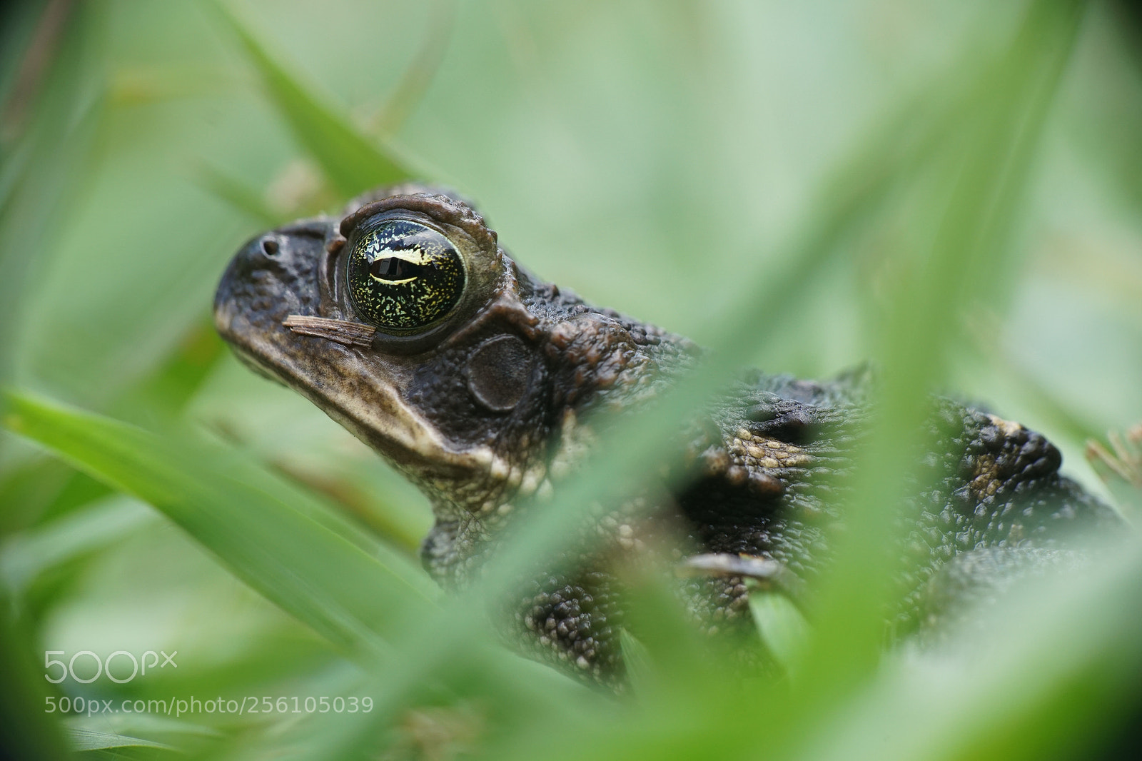 Sony a6000 sample photo. Dsc photography