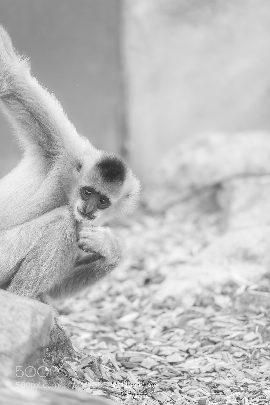 Nikon D800 sample photo. Untitled photography
