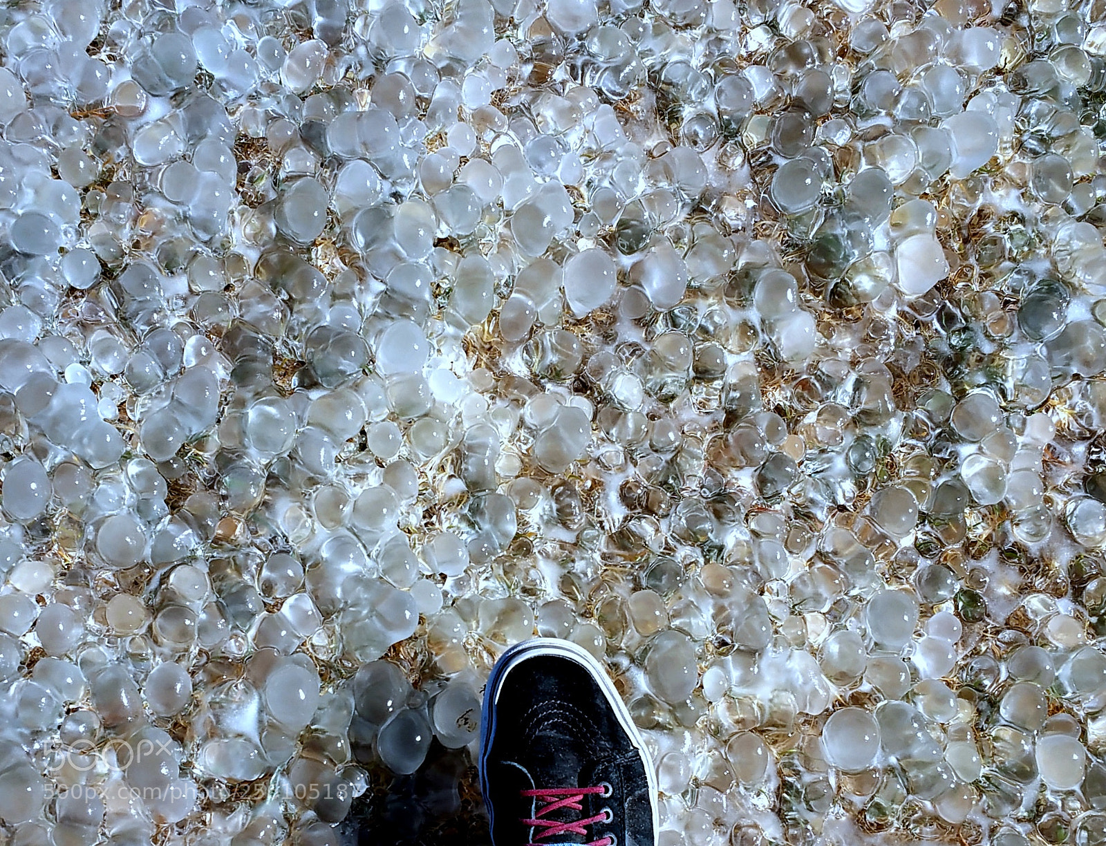 Samsung Galaxy Note4 sample photo. Ice ball lawn (foot) photography