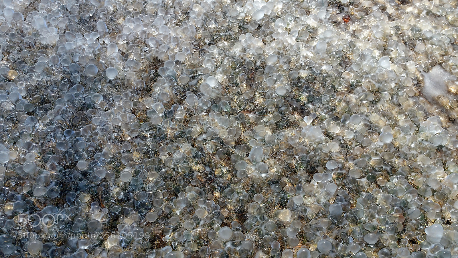Samsung Galaxy Note4 sample photo. Ice ball lawn photography