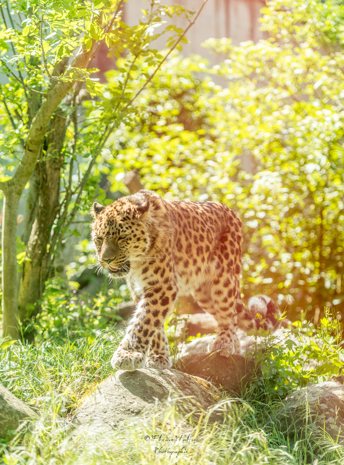 Nikon D800 sample photo. Untitled photography