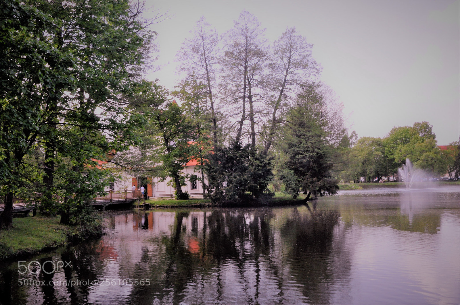 Nikon D90 sample photo. The zwierzyniec park photography