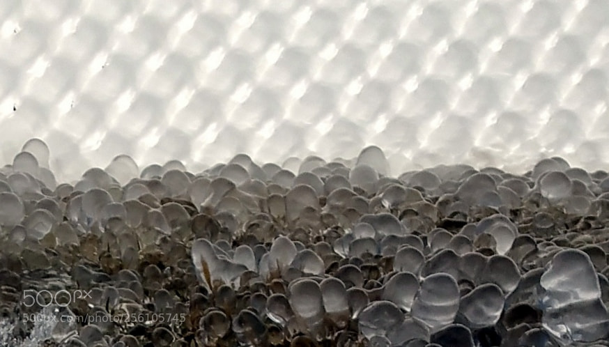 Samsung Galaxy Note4 sample photo. Ice fence photography