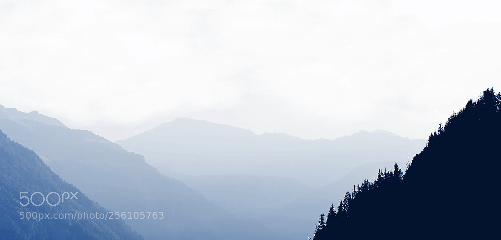 Nikon D7100 sample photo. Misty photography