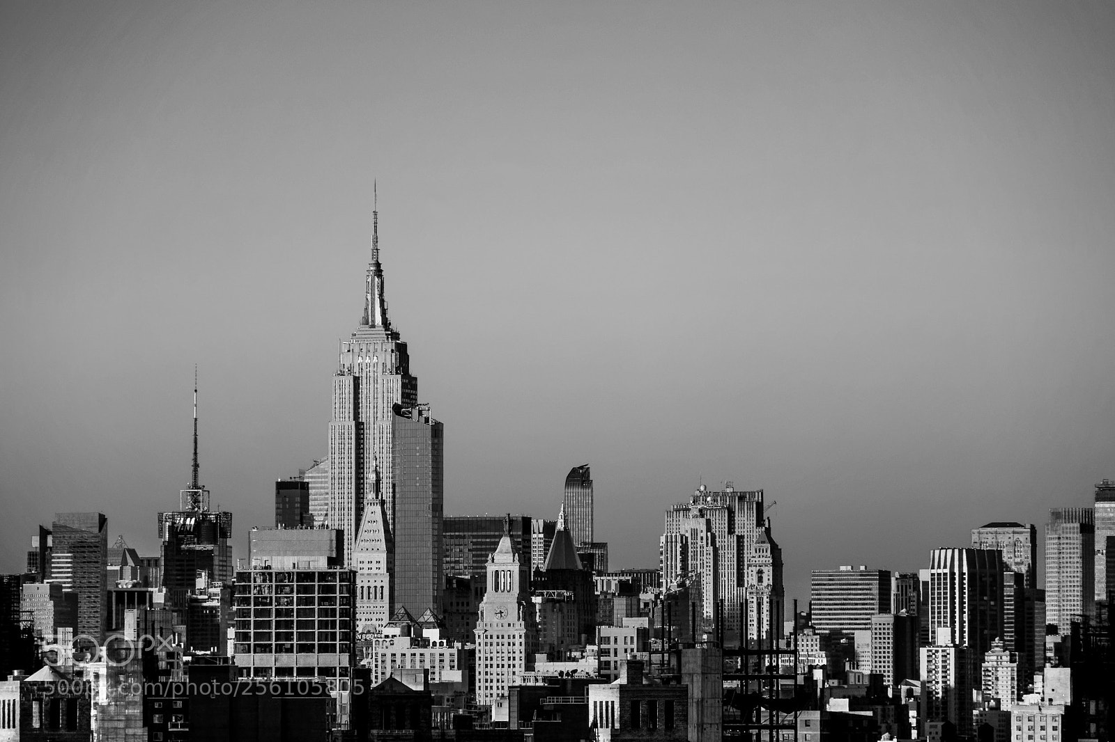 Nikon D7100 sample photo. Up! photography