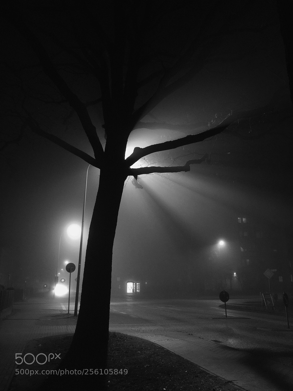 Apple iPhone 6 Plus sample photo. Foggy night  photography