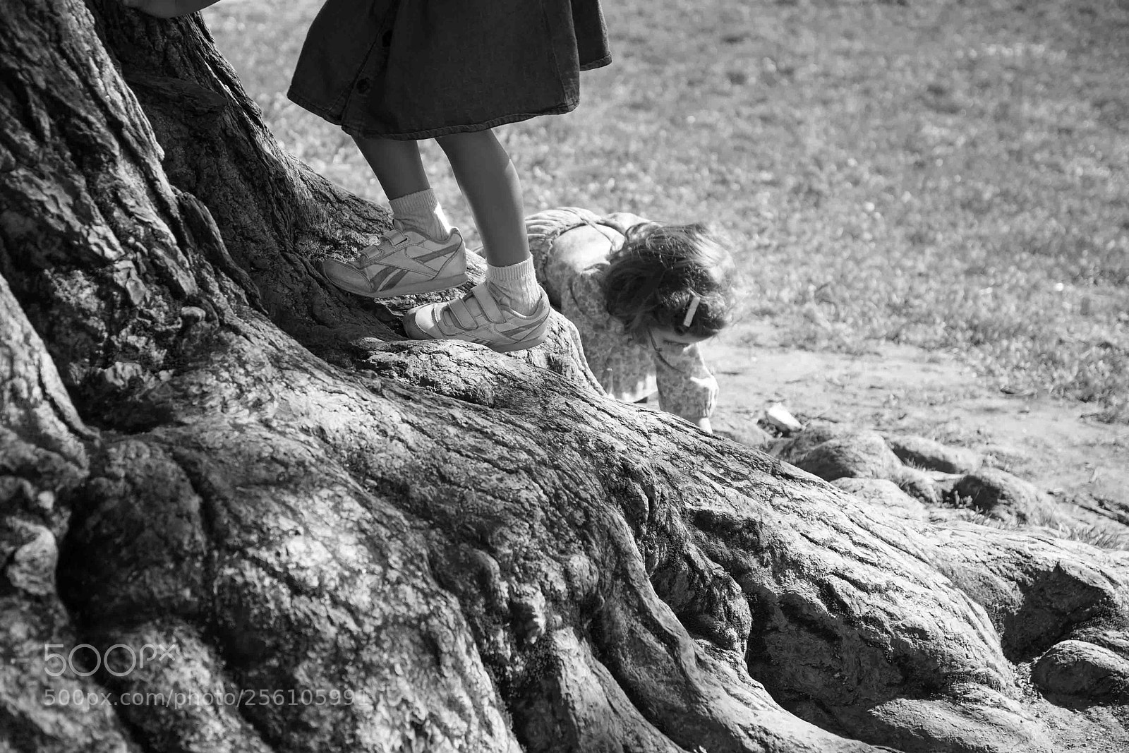 Nikon D610 sample photo. The children and the photography