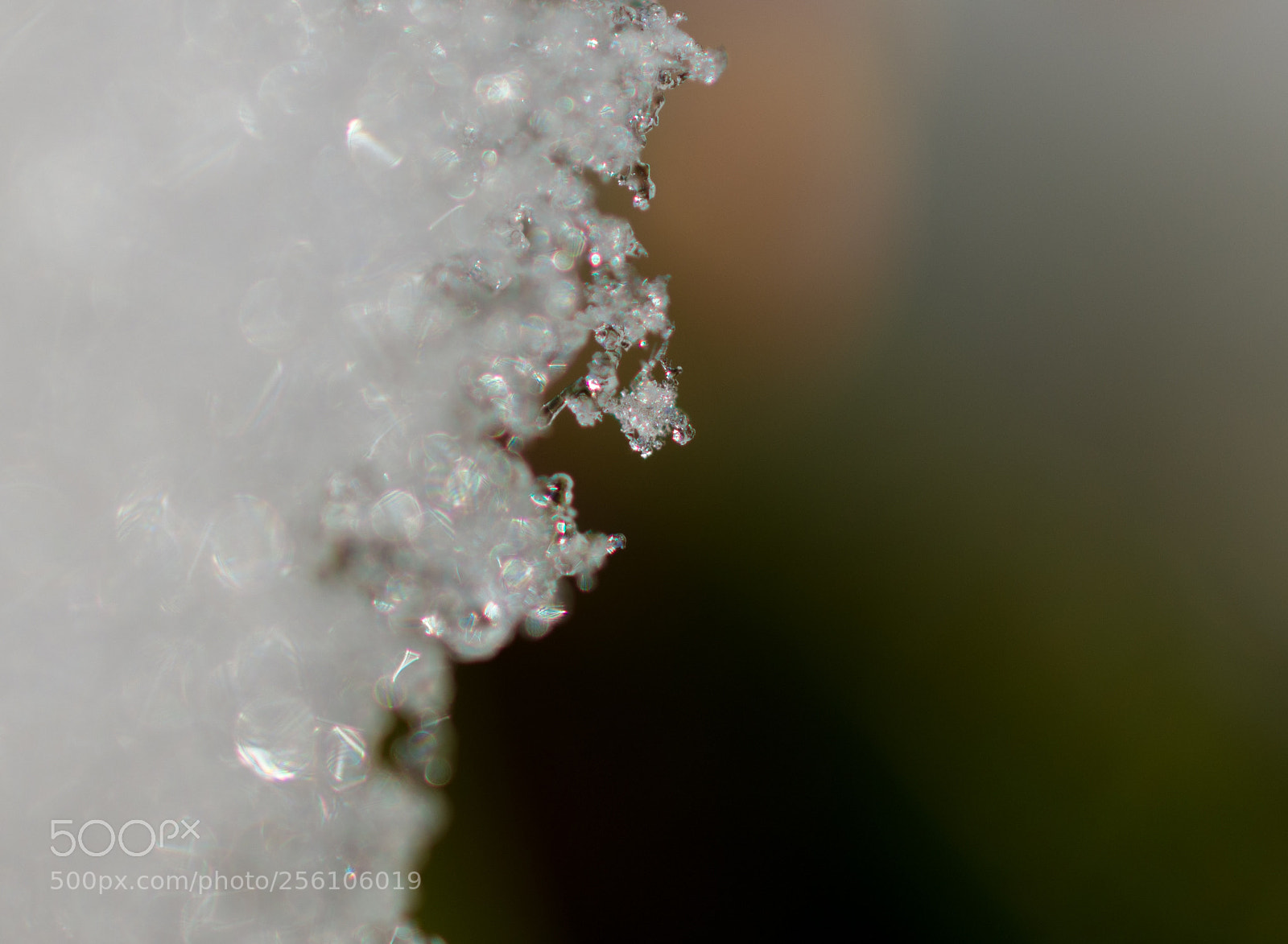 Nikon D7200 sample photo. Ice cold photography