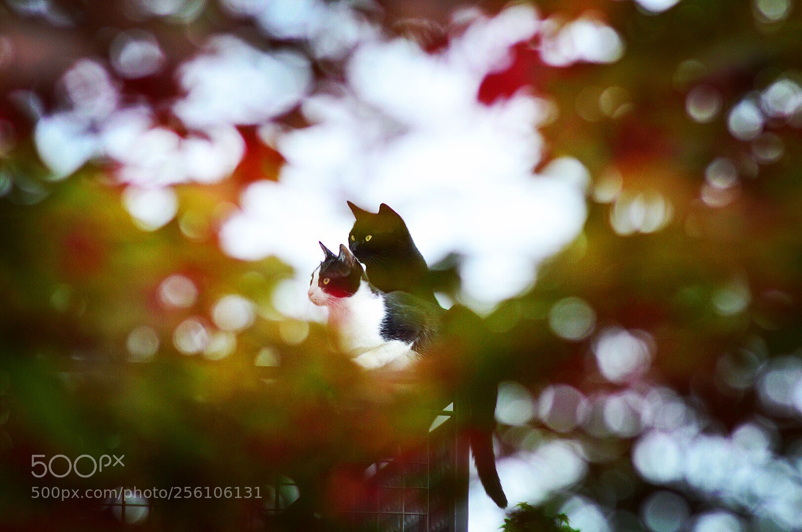 Nikon D3200 sample photo. Untitled photography