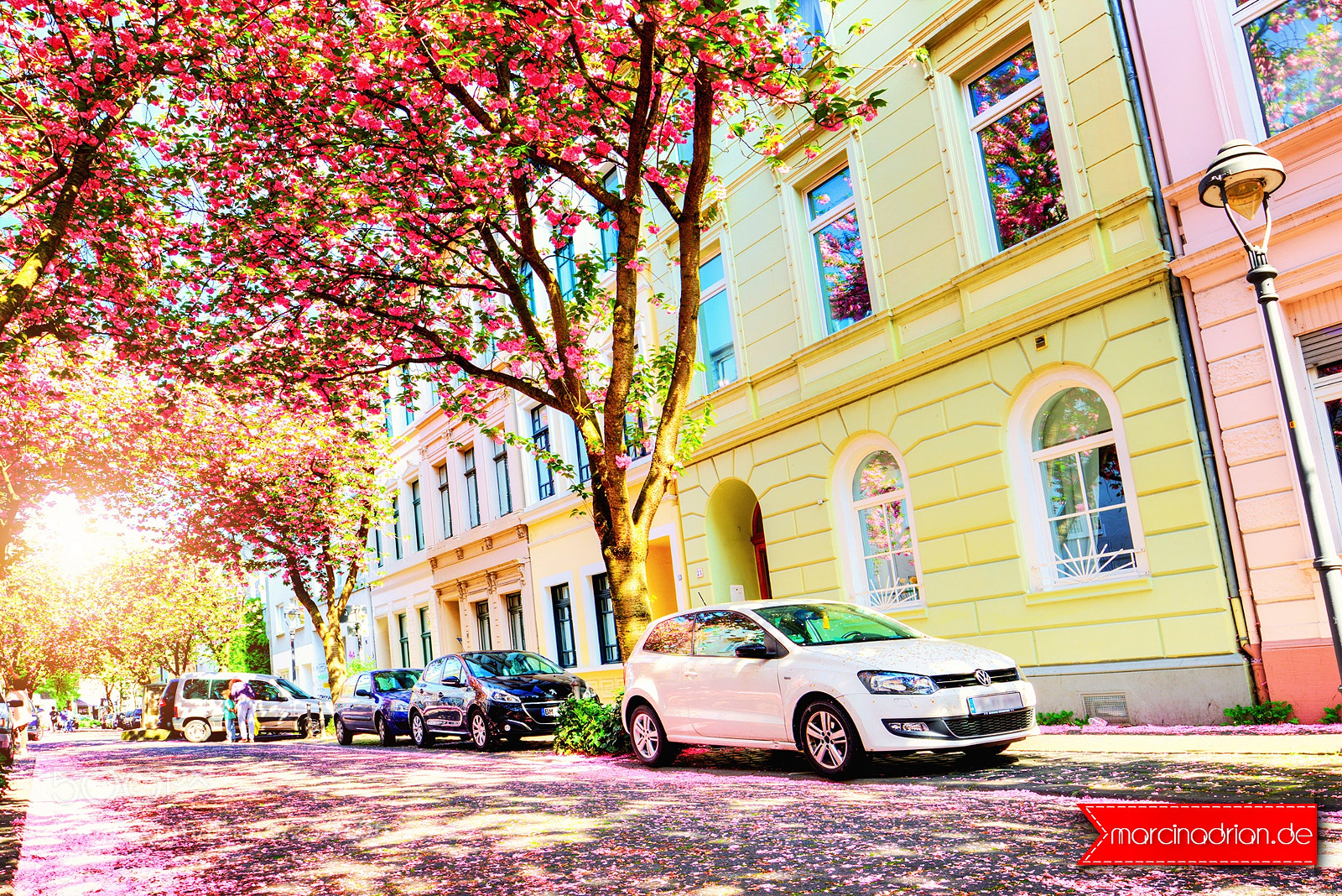 Canon EOS 7D Mark II sample photo. Kirschbluete bonn cherry blossoms photography