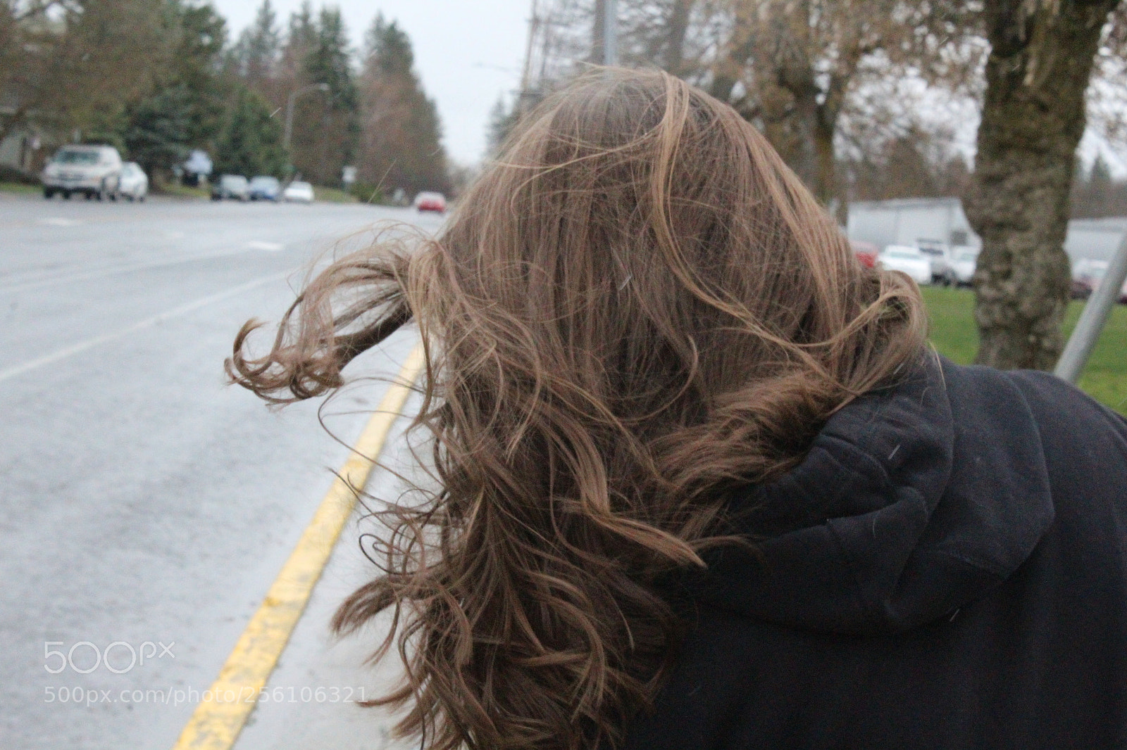 Canon EOS 1200D (EOS Rebel T5 / EOS Kiss X70 / EOS Hi) sample photo. Just a breeze photography