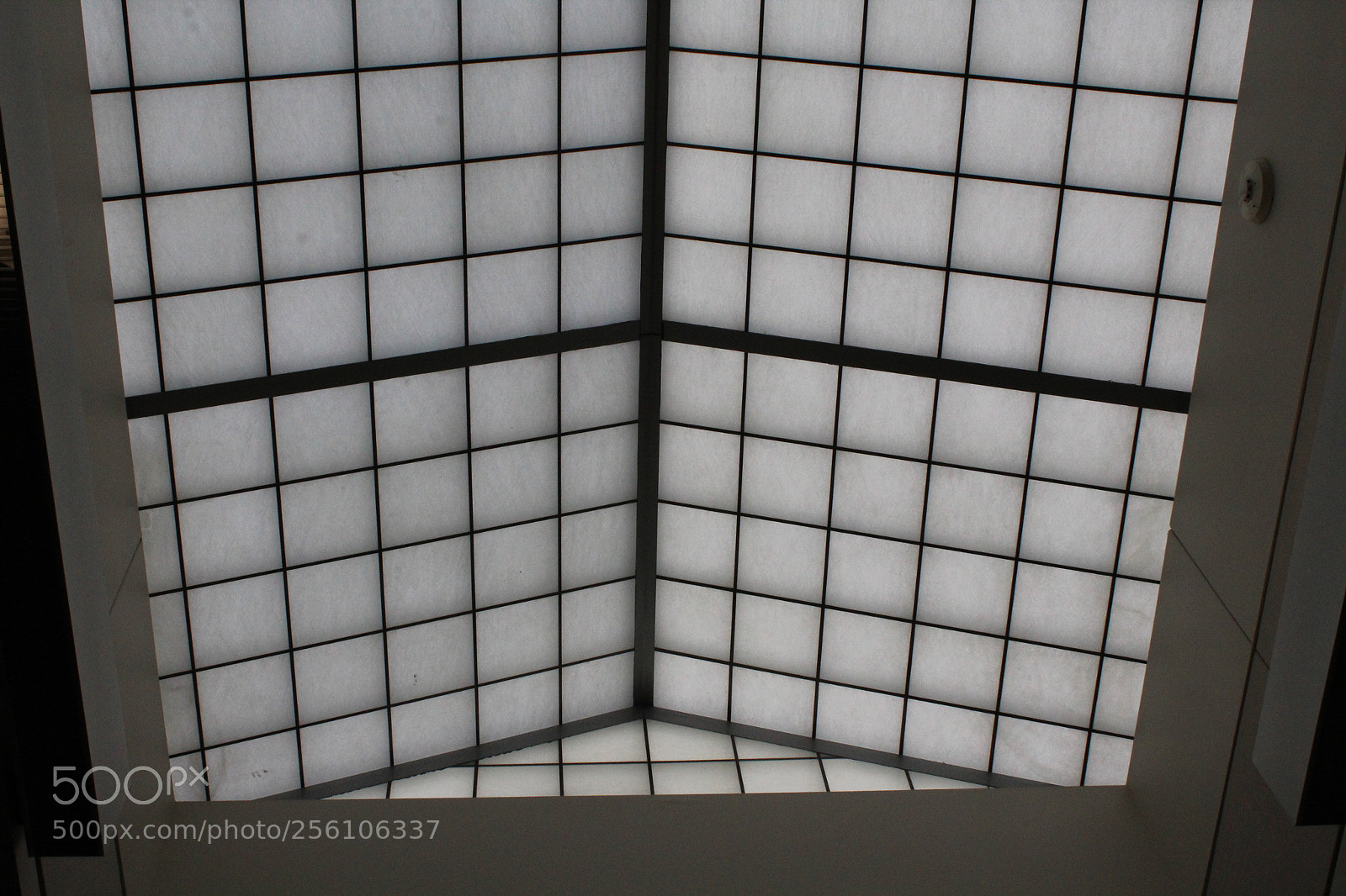 Canon EOS 1200D (EOS Rebel T5 / EOS Kiss X70 / EOS Hi) sample photo. Skylight photography