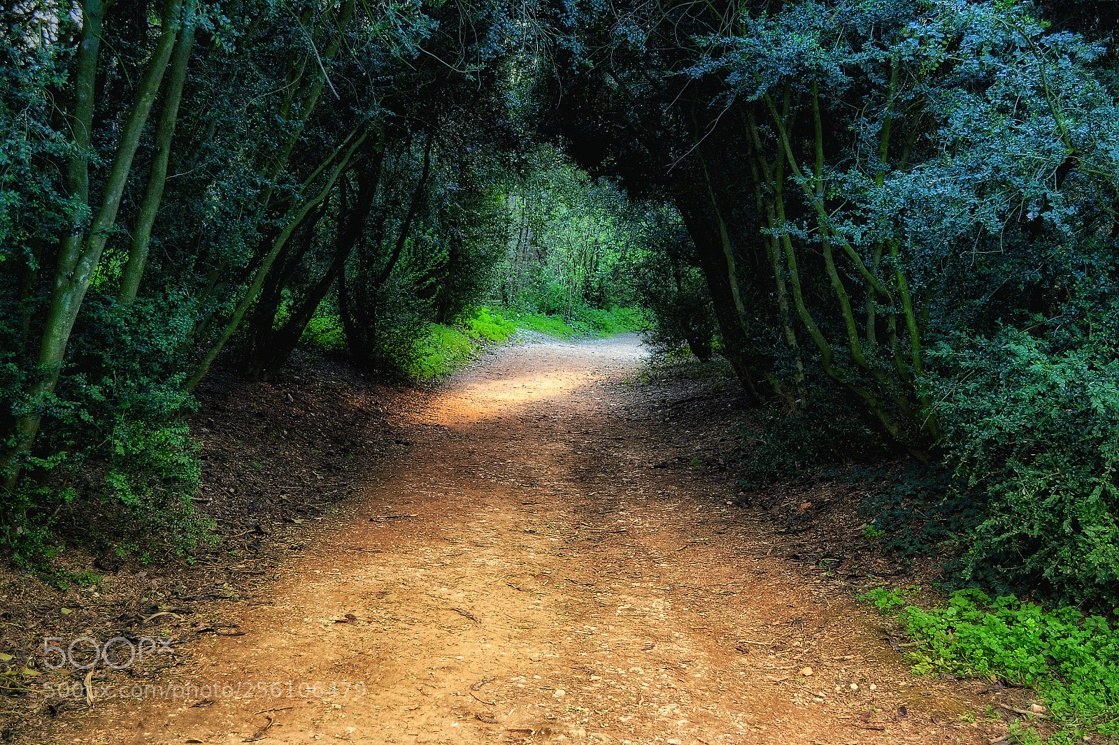 Nikon D3100 sample photo. Untitled photography