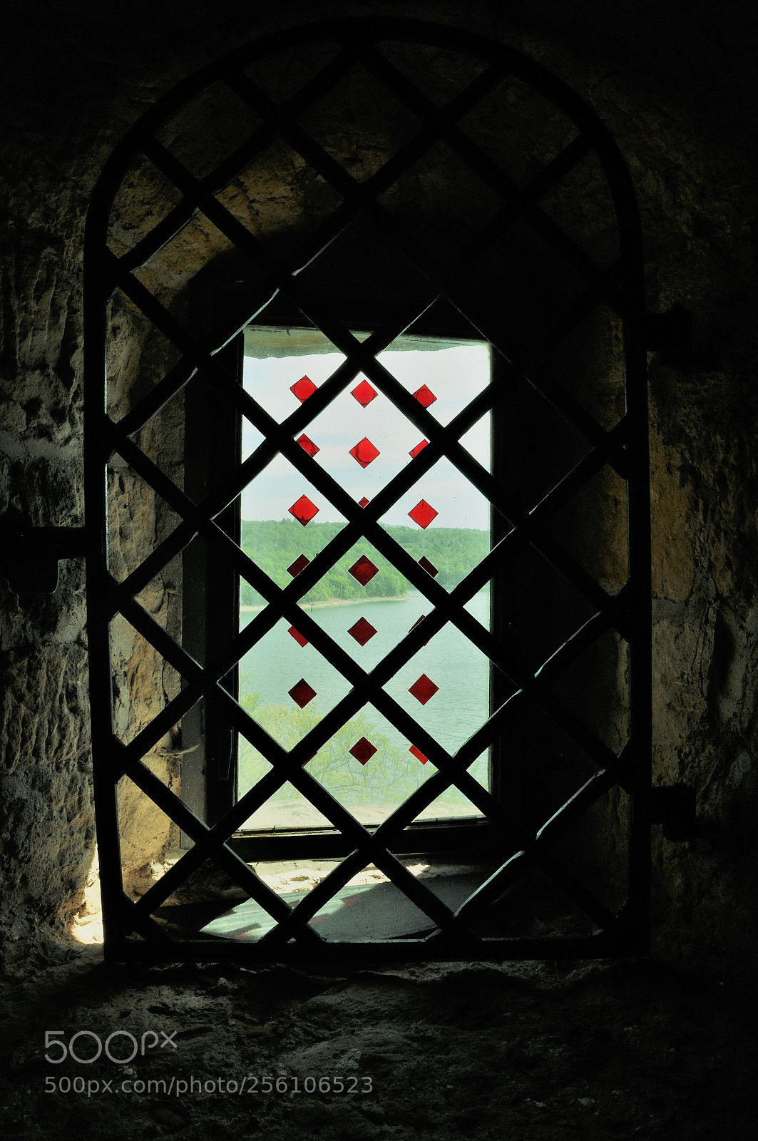 Nikon D90 sample photo. The castle window photography