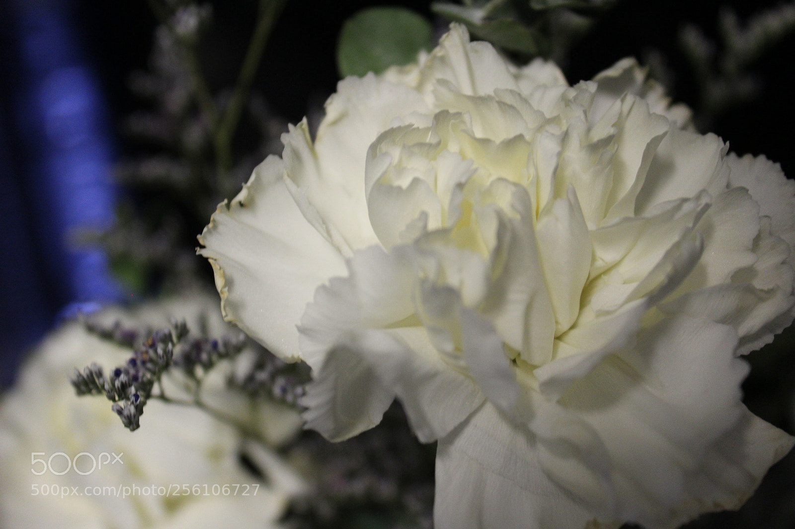 Canon EOS 1200D (EOS Rebel T5 / EOS Kiss X70 / EOS Hi) sample photo. Untitled photography