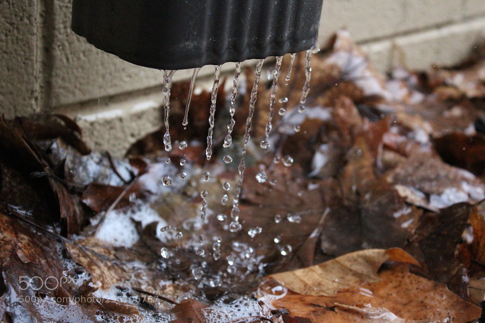Canon EOS 1200D (EOS Rebel T5 / EOS Kiss X70 / EOS Hi) sample photo. Drip drop photography