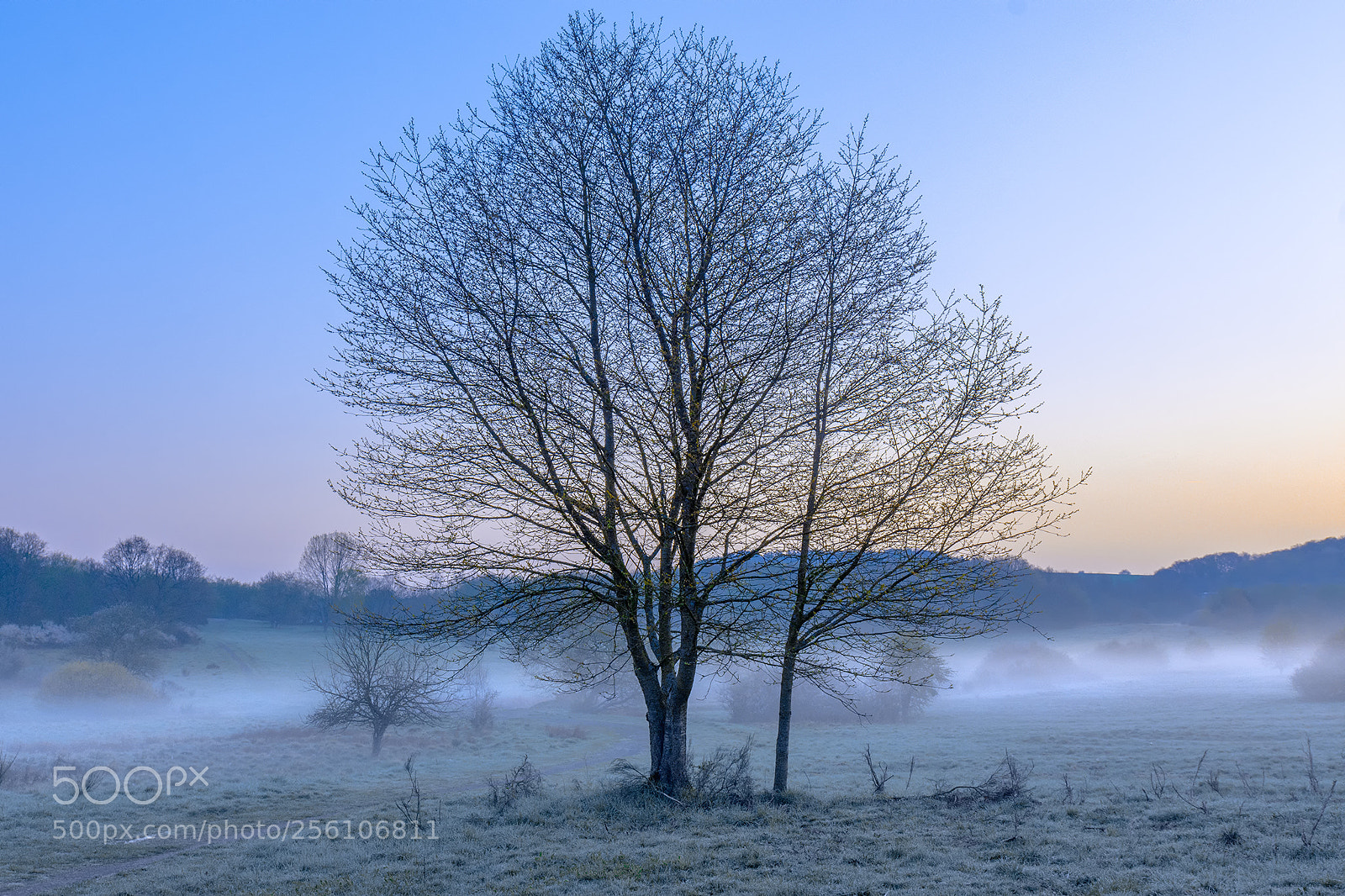 Nikon D7200 sample photo. Foggy cold morning befor photography