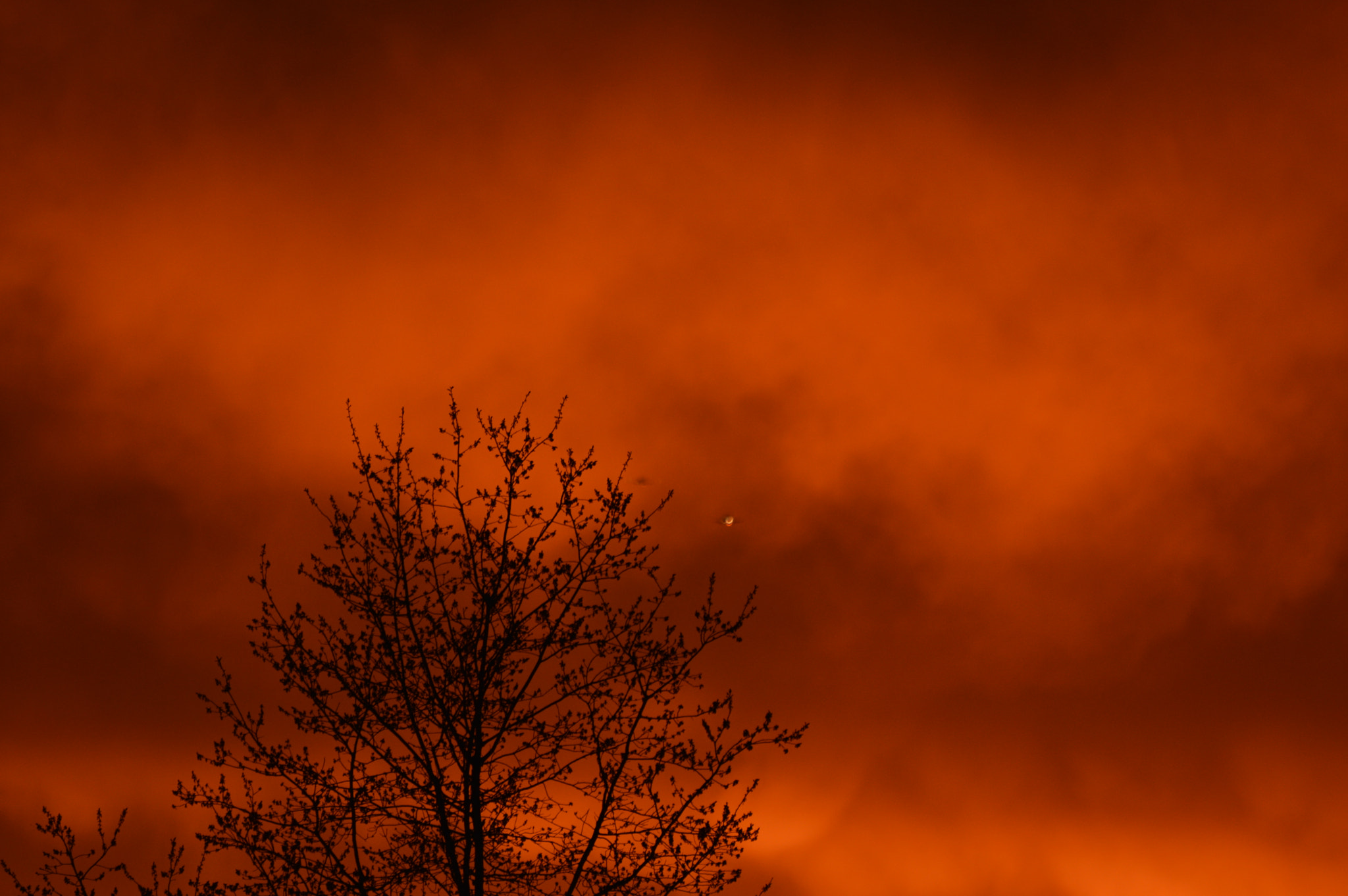 Nikon D3200 sample photo. Sky on fire - sunset 30 april photography