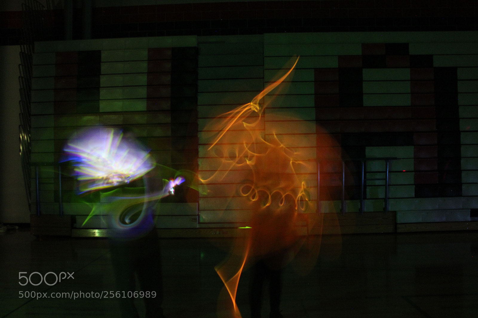 Canon EOS 1200D (EOS Rebel T5 / EOS Kiss X70 / EOS Hi) sample photo. Accidental light painting bird photography