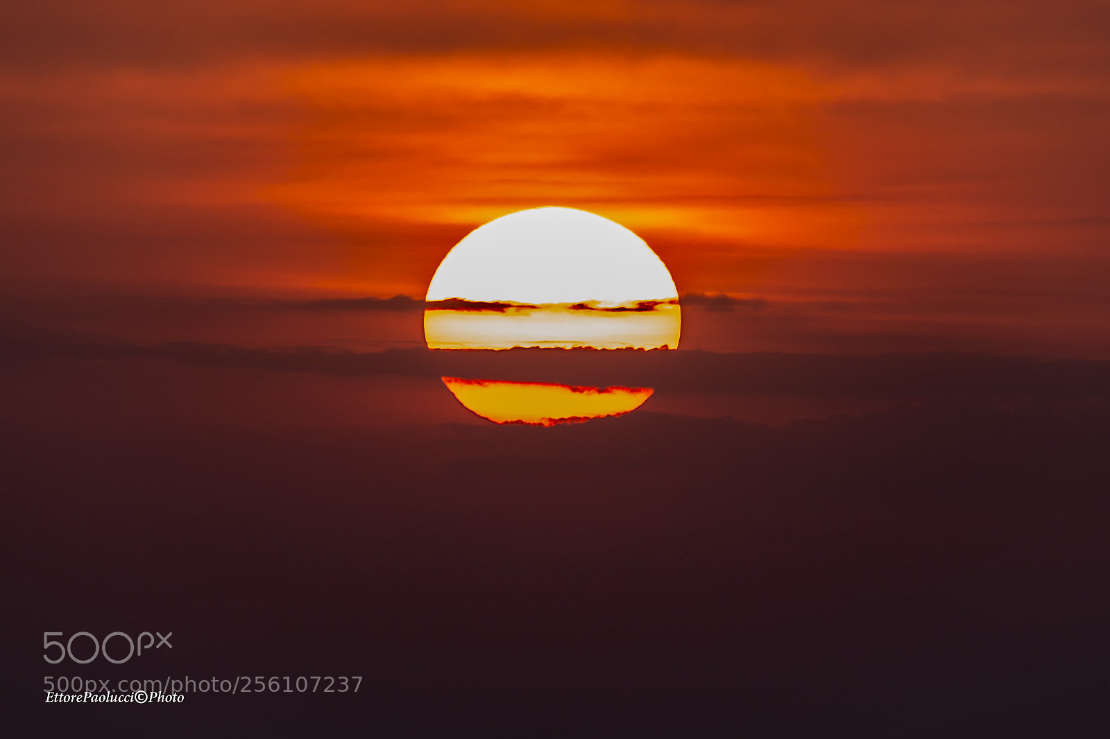 Canon EOS 6D sample photo. Untitled photography
