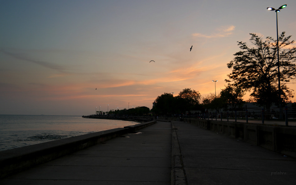 Samsung NX1 sample photo. ... photography