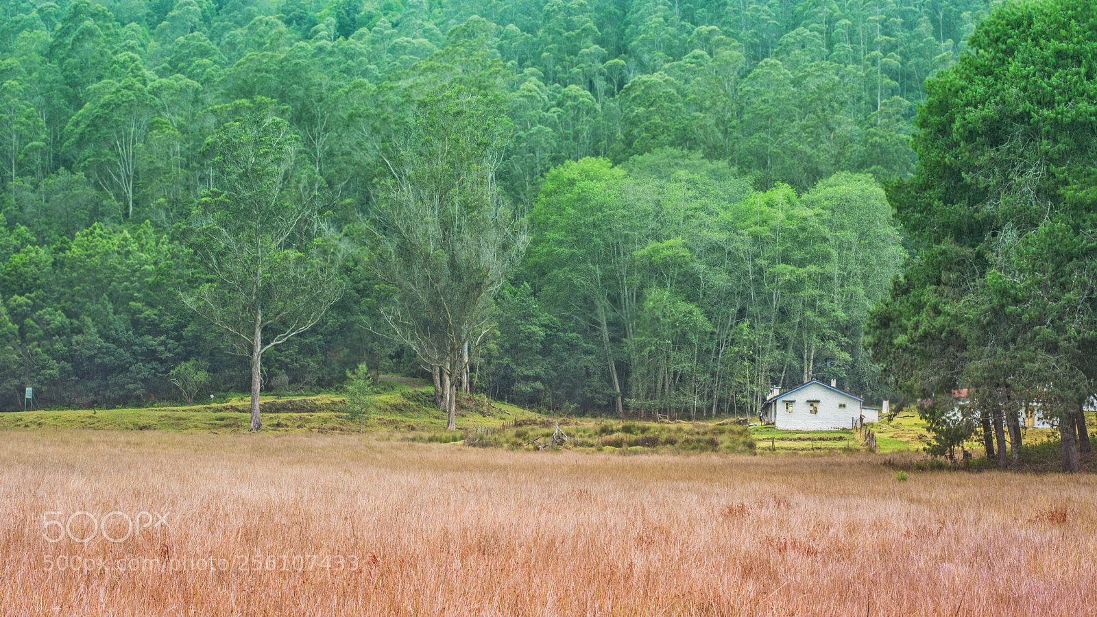 Nikon D5200 sample photo. Cabin in the woods photography