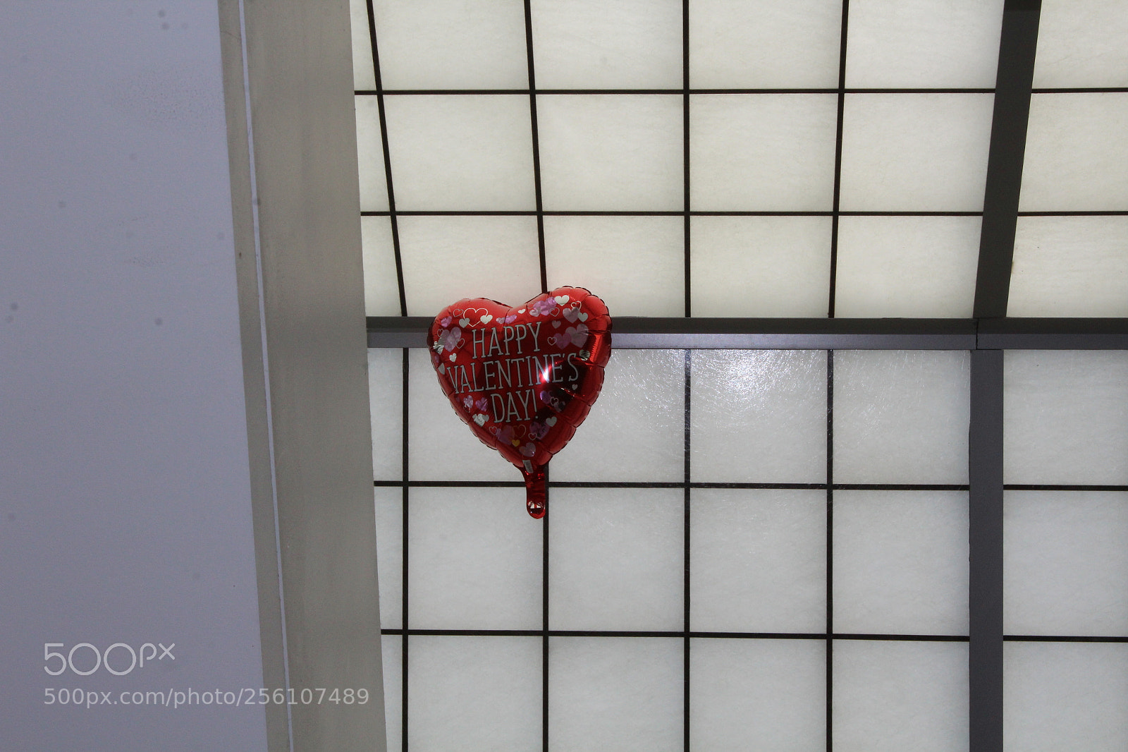 Canon EOS 1200D (EOS Rebel T5 / EOS Kiss X70 / EOS Hi) sample photo. Valentine's balloon photography