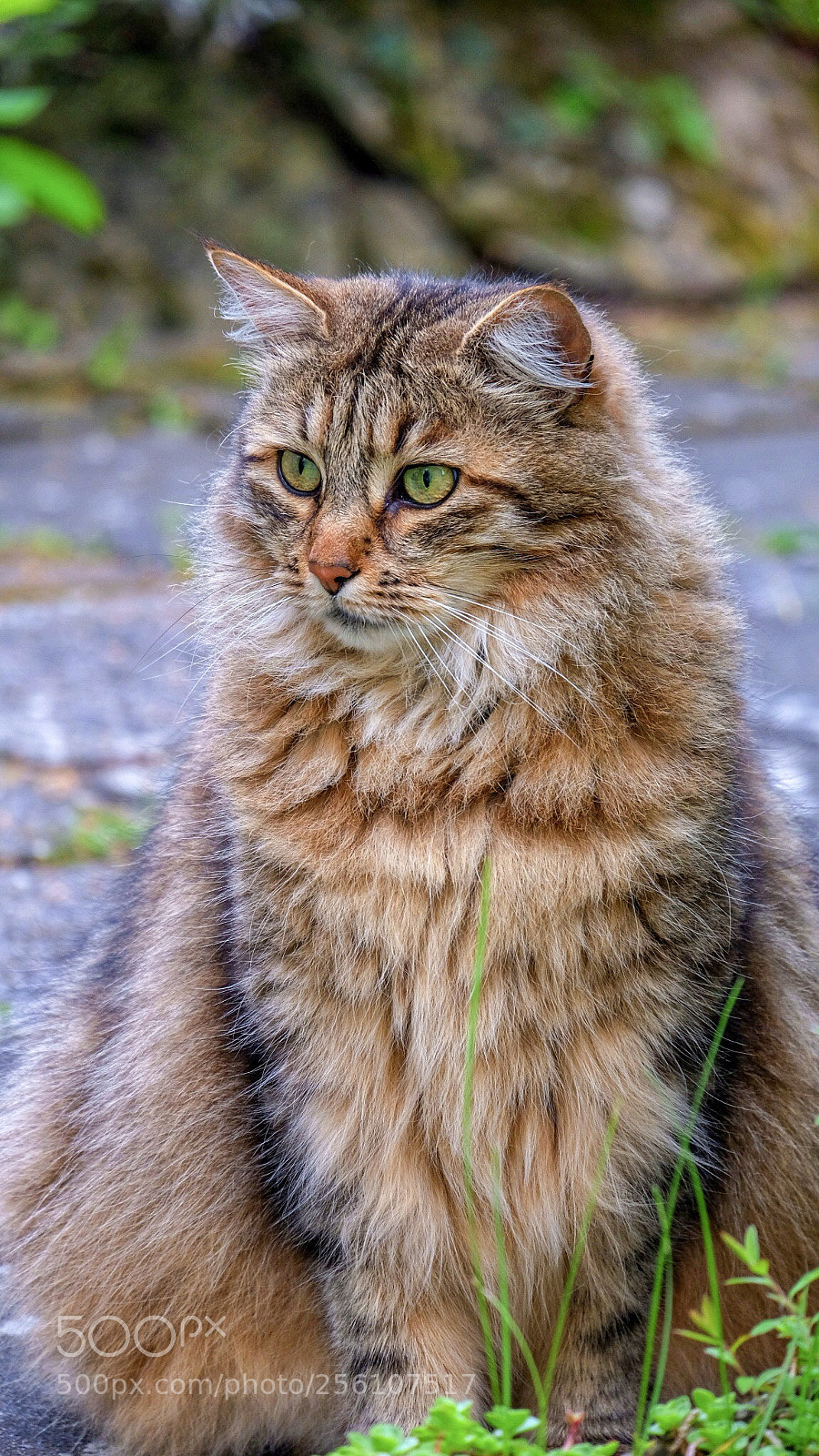 Fujifilm X-E3 sample photo. In anticipation ..... photography