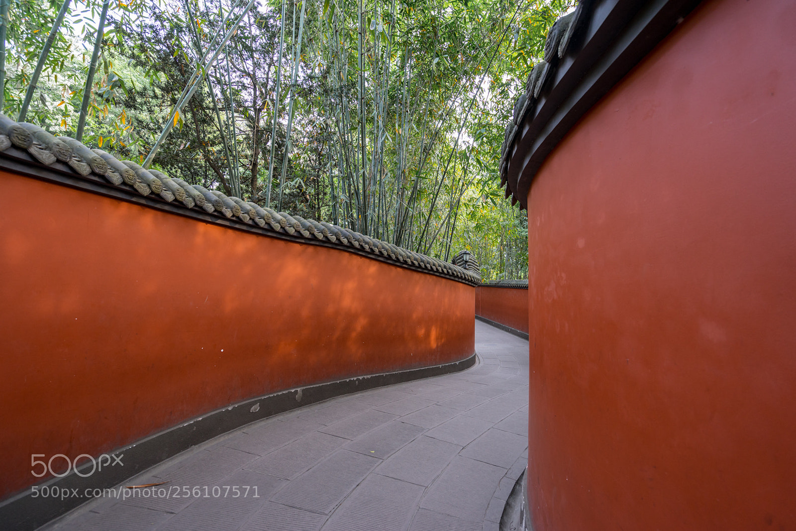 Sony a7 II sample photo. The red wall photography