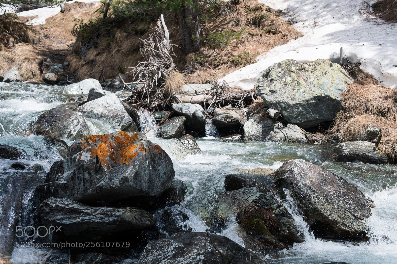 Fujifilm X-T20 sample photo. Vallanta photography