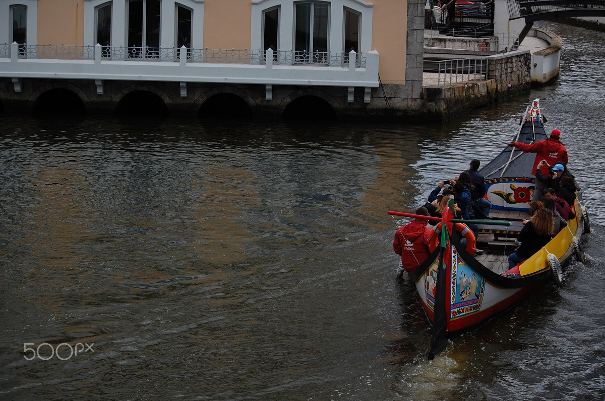 Nikon D40 sample photo. Cruising photography