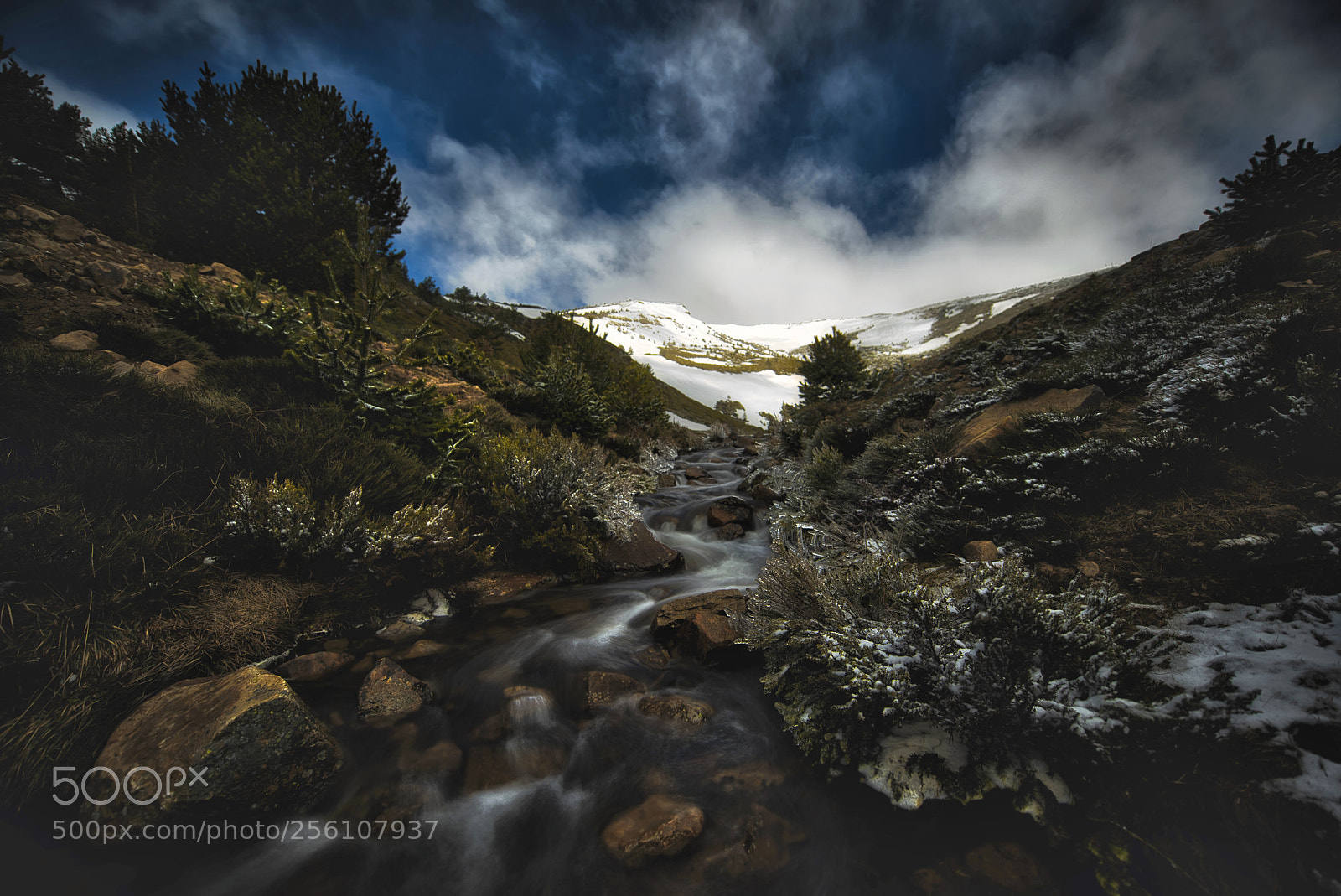 Nikon D810 sample photo. Lake cebollera photography