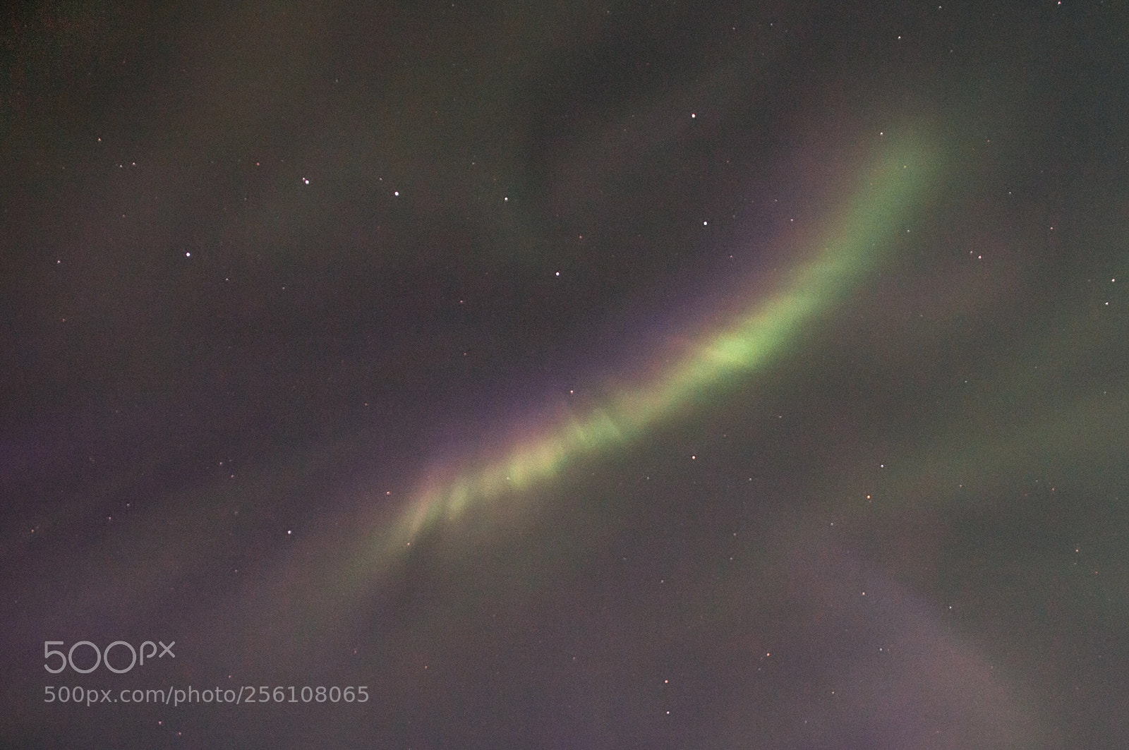 Nikon D300S sample photo. Большая медведица над полярным сиянием photography