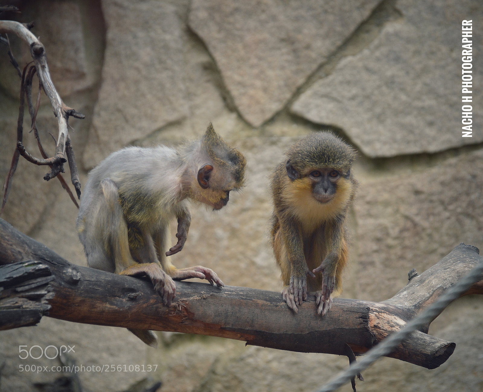 Nikon D7100 sample photo. Untitled photography