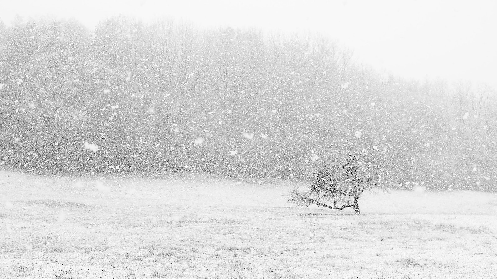 Canon PowerShot G16 sample photo. Snow in april  # 6 photography