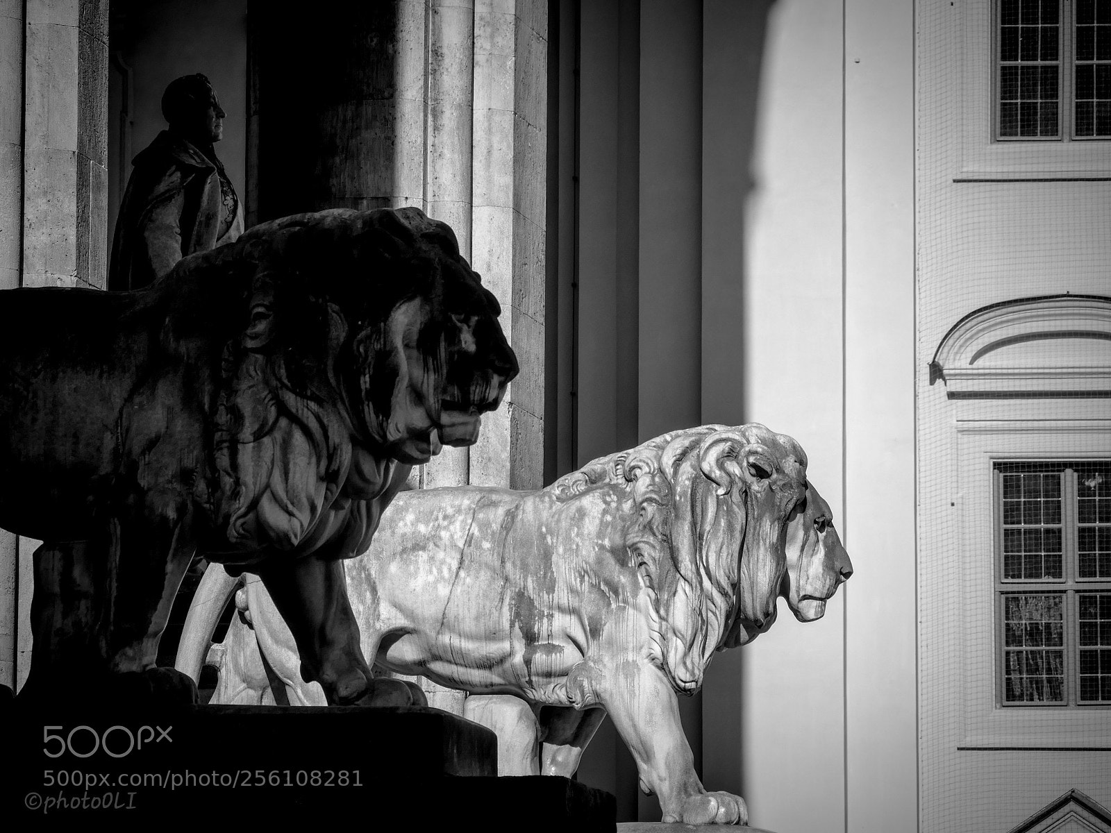 Panasonic Lumix DMC-GX8 sample photo. Lions in black and photography