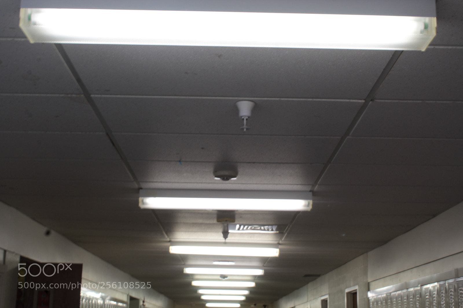 Canon EOS 1200D (EOS Rebel T5 / EOS Kiss X70 / EOS Hi) sample photo. Lights in a row photography