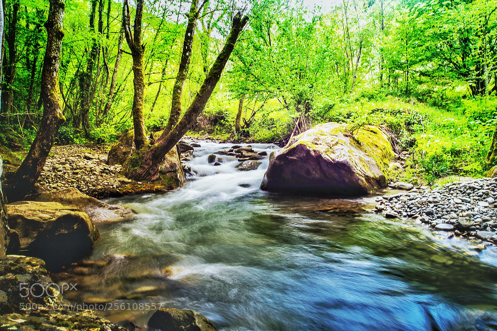 Sony a7 sample photo. Nature show photography