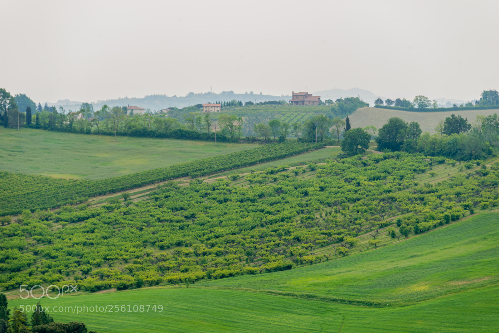 Nikon D800 sample photo. Fields (i) photography