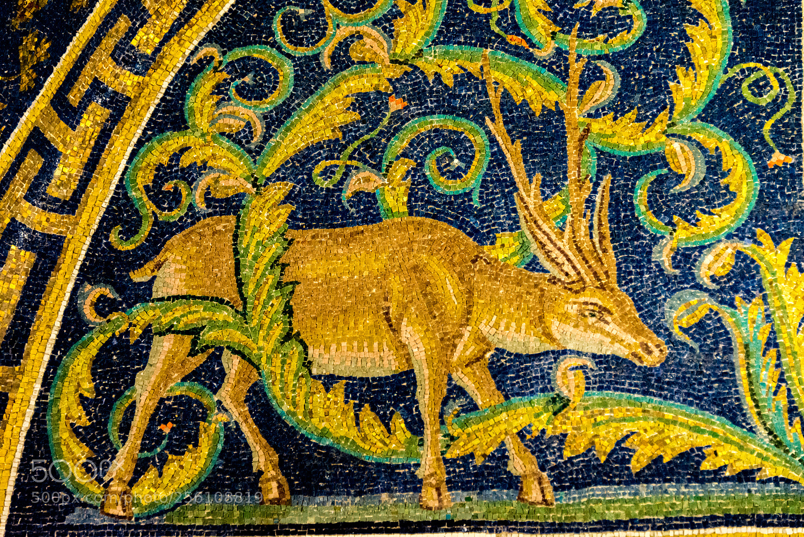 Nikon D800 sample photo. Mosaics photography