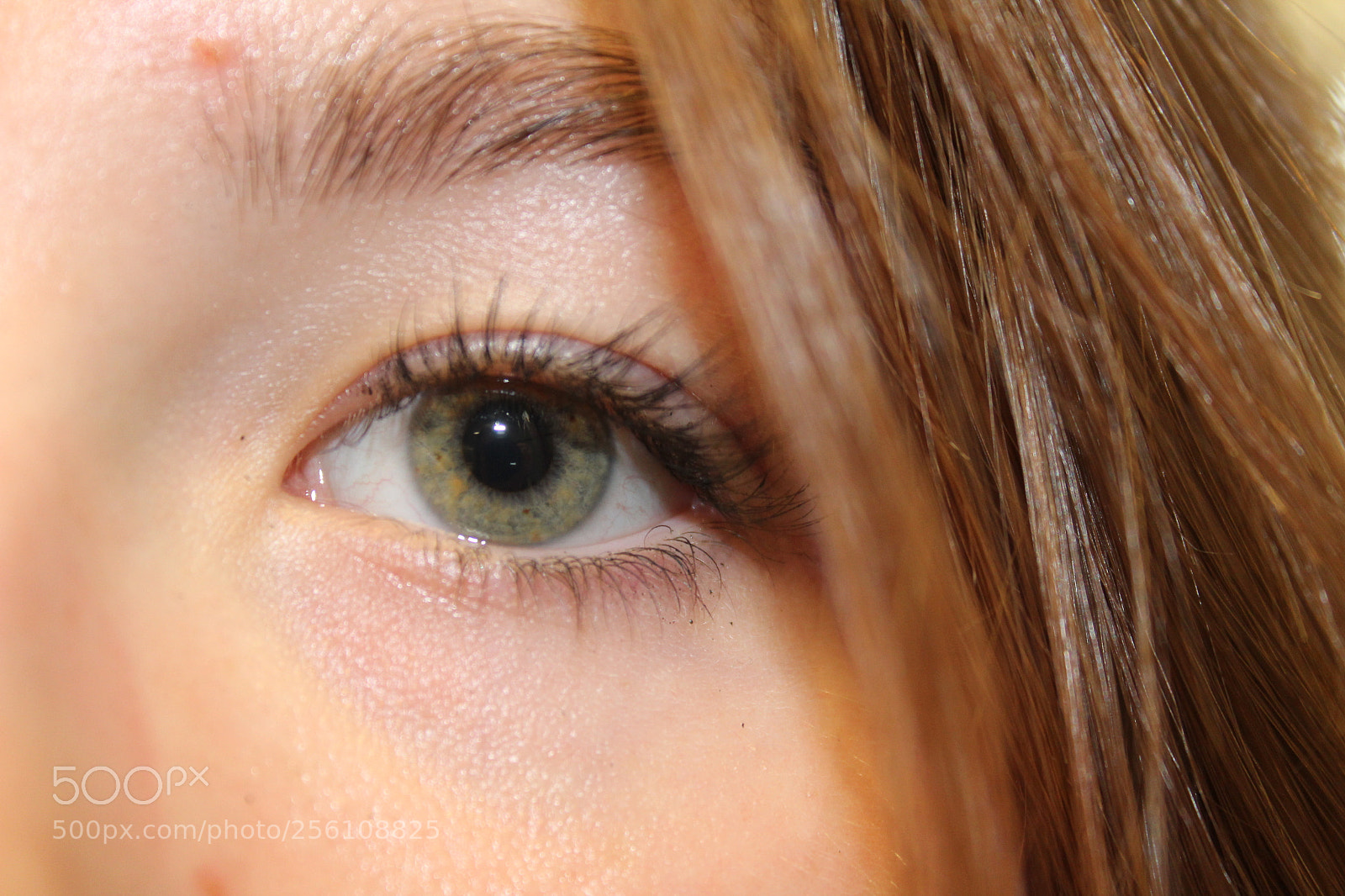 Canon EOS 1300D (EOS Rebel T6 / EOS Kiss X80) sample photo. Lauren with flash eye photography