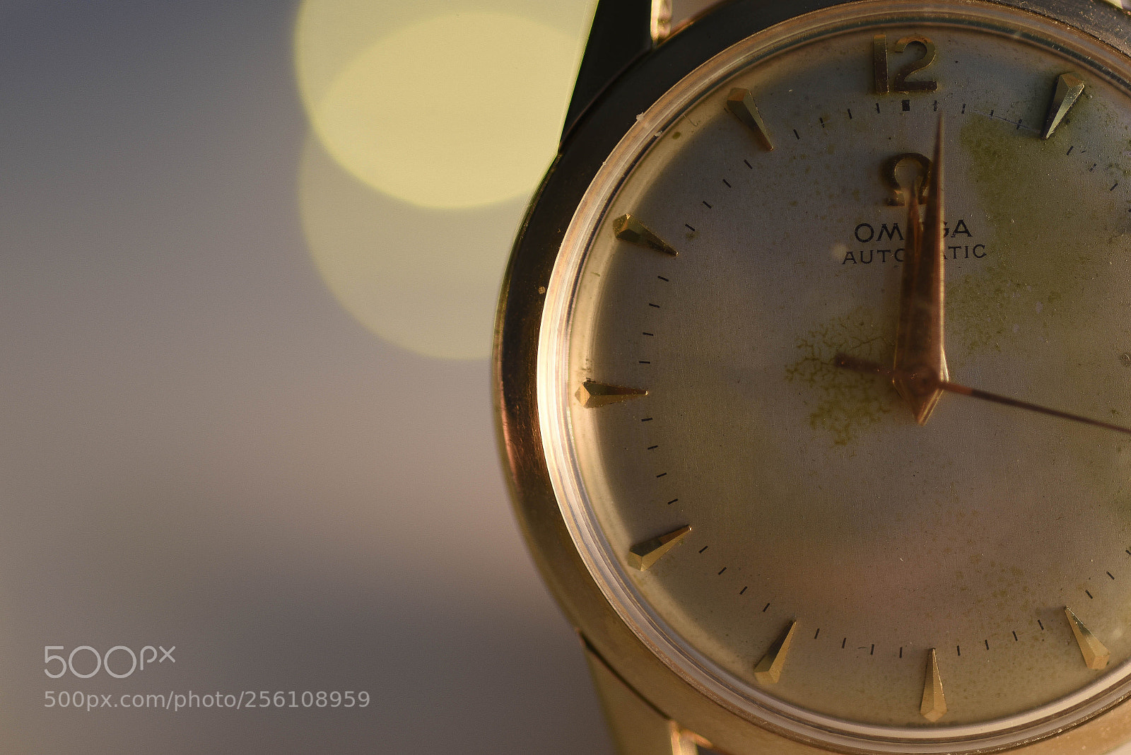Nikon D750 sample photo. Past midnight photography