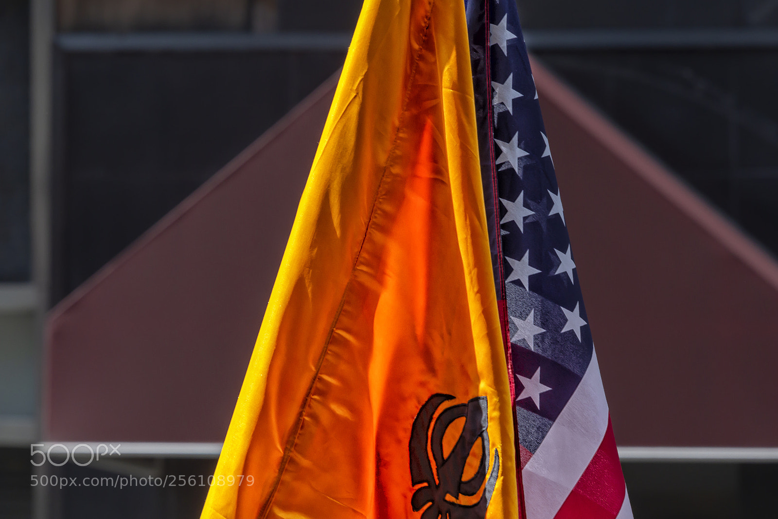 Canon EOS 60D sample photo. Sikh parade 4 28 photography