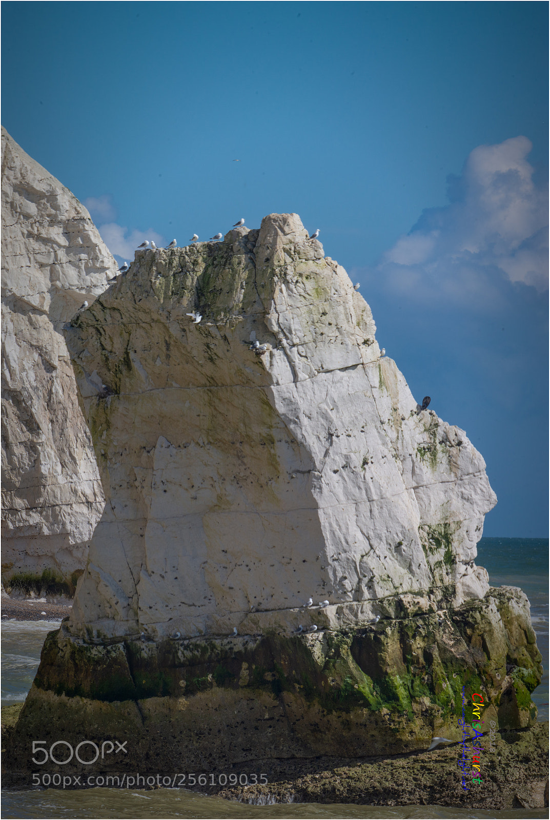 Nikon D7100 sample photo. Stack - seaford head photography